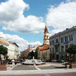 Апартаменты Vilnius Apartments & Suites - Town Hall Вильнюс Роскошные апартаменты с 1 спальней - ул. Didzioji 39-27