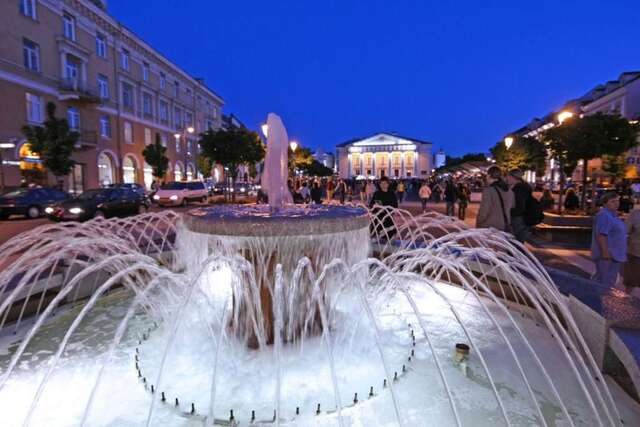Апартаменты Vilnius Apartments & Suites - Town Hall Вильнюс-94